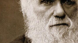 Timeline: La primera Transformación