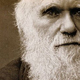 Darwin testamento