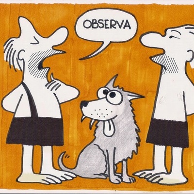 Timeline: Antecedentes históricos de la etología.