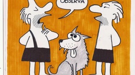 Timeline: Antecedentes históricos de la etología.