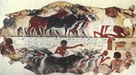 Timeline: historia de la medicina veterinaria