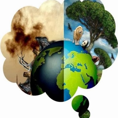 Timeline: problemática ambiental de la producción y consumo en Colombia y el mundo