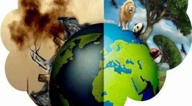 Timeline: problemática ambiental de la producción y consumo en Colombia y el mundo