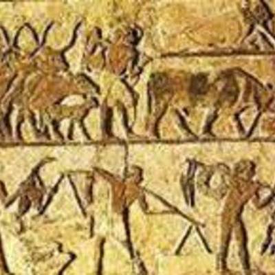 Timeline: Historia de la medicina veterinaria