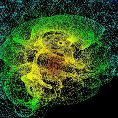 Timeline: Neurociencia. Definición, origen, y relación con otras ciencias.