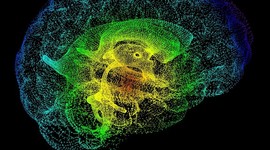 Timeline: Neurociencia. Definición, origen, y relación con otras ciencias.