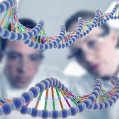 Timeline: El ADN a través del tiempo