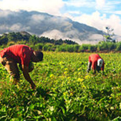 Timeline: HISTORIA DE LA AGRICULTURA Y LA AGRONOMIA