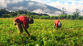 Timeline: HISTORIA DE LA AGRICULTURA Y LA AGRONOMIA