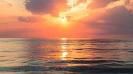 Timeline: Zoe Hetz's Life