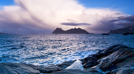 Timeline: linea de tiempo terapias naturales