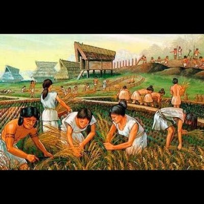 Timeline: HISTORIA DE LA AGRICULTURA