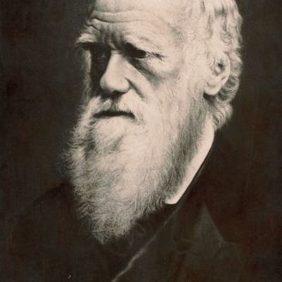 Timeline: Biografía de Darwin