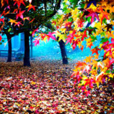 Timeline: RECONOCIENDO MIS COMPETENCIAS