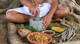 Timeline: medicina ayurvedica