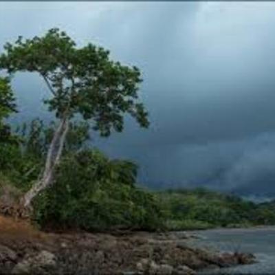 Timeline: Mi Cronograma