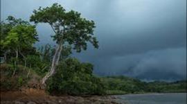 Timeline: Mi Cronograma