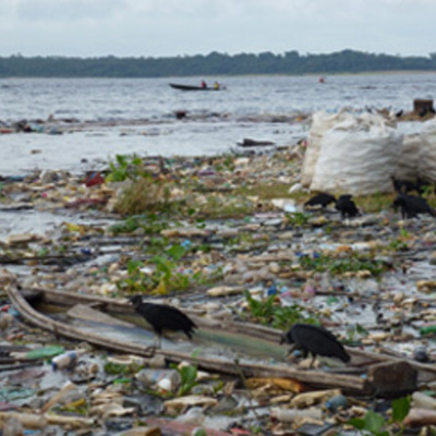 Timeline: Problematica ambiental de la produccion y consumo en colombia y el mundo