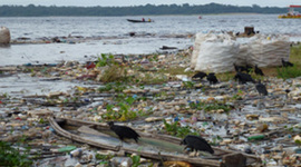 Timeline: Problematica ambiental de la produccion y consumo en colombia y el mundo