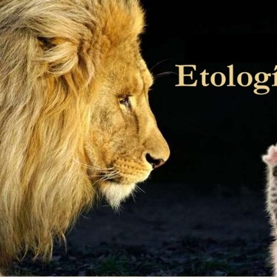 Timeline: HISTORIA DE LA ETOLOGIA