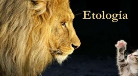 Timeline: HISTORIA DE LA ETOLOGIA