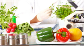 Timeline: Antecedentes históricos de la ciencia de los alimentos