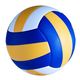 Volleyball art work