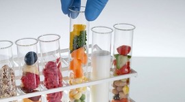 Timeline: Antecedentes históricos  la ciencia de los alimentos