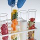 Alimentos