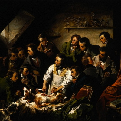 Timeline: Historia de la Medicina Veterinaria