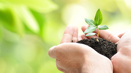 Timeline: Teories sobre l'origen de la vida