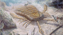 Timeline: Kambrium, Ordoviitsium, Silur