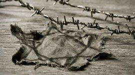 Timeline: השואה