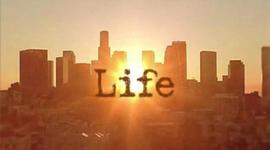 Timeline: Life Events