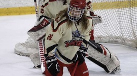 Timeline: Evolution of the hockey stick