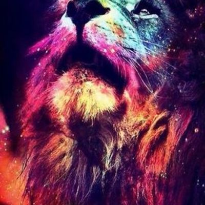 Timeline: mi linea de tiempo