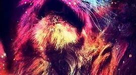 Timeline: mi linea de tiempo