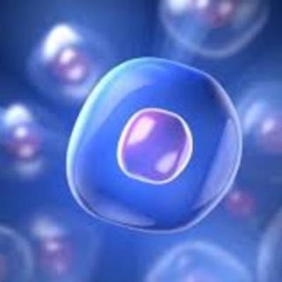 Timeline: Acerca de la célula