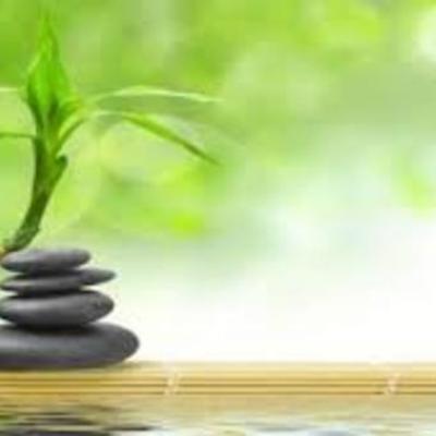 Timeline: Desarrollo Histórico  Terapias Naturales.