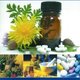Medicinahomeopatica.004