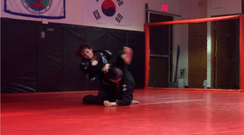 Timeline: Lixy Brazilian Jiu Jitsu Timeline