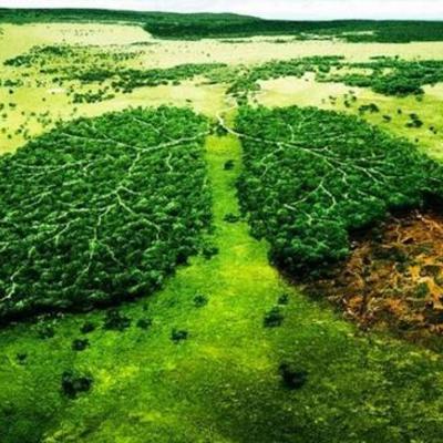 Timeline: Problemática ambiental de la producción y consumo en Colombia y el mundo