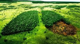 Timeline: Problemática ambiental de la producción y consumo en Colombia y el mundo