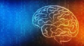 Timeline: TRABAJO EJE 1 NEUROCIENCIAS