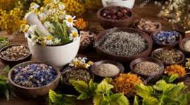 Timeline: medicina natural