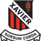 Xav logo 04