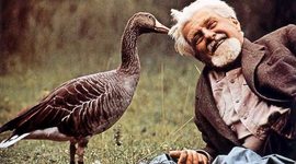 Timeline: Antecedentes Históricos de la Etología.