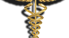 Timeline: Historia de la Cirugía.