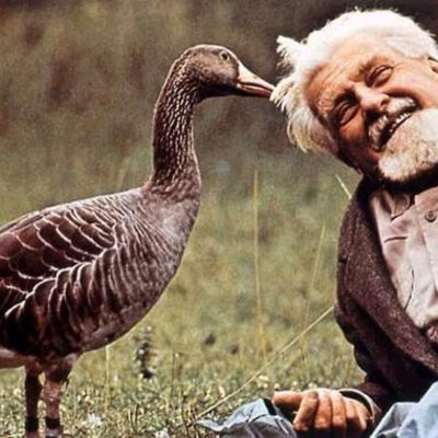 Timeline: Linea del tiempo ''Historia de la Etología''