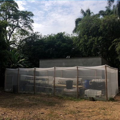 Timeline: Linea de tiempo acuaponia